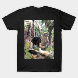 Jurassic Anuvis T-Shirt